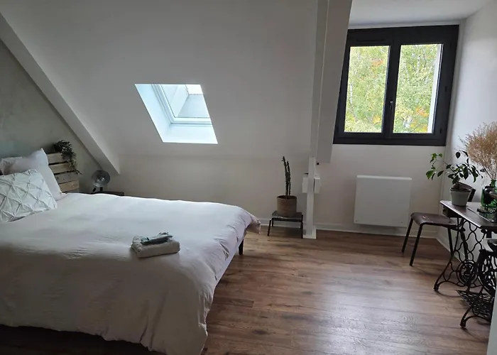 Maison Familiale 4 Piscine 5mn Du Centre Angers